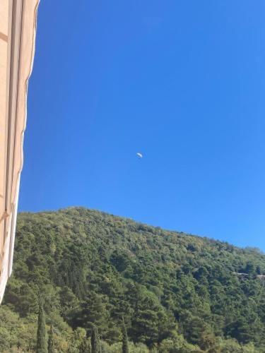 Studio Apartment For Rent In Budva Zewnętrze zdjęcie
